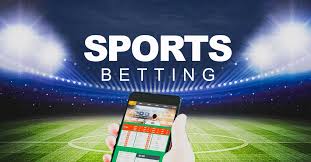 Casinos With Tournament Rewards and Freebies 17