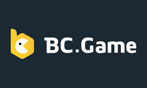 كل ما تحتاج معرفته عن BC Game 14