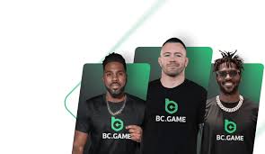 Discover the Thrills of BC FUN