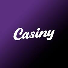Everything You Need to Know About Casiny Login 17 Everything You Need to Know About Casiny Login 17