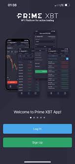 PrimeXBT vs Pocket Option A Comprehensive Comparison